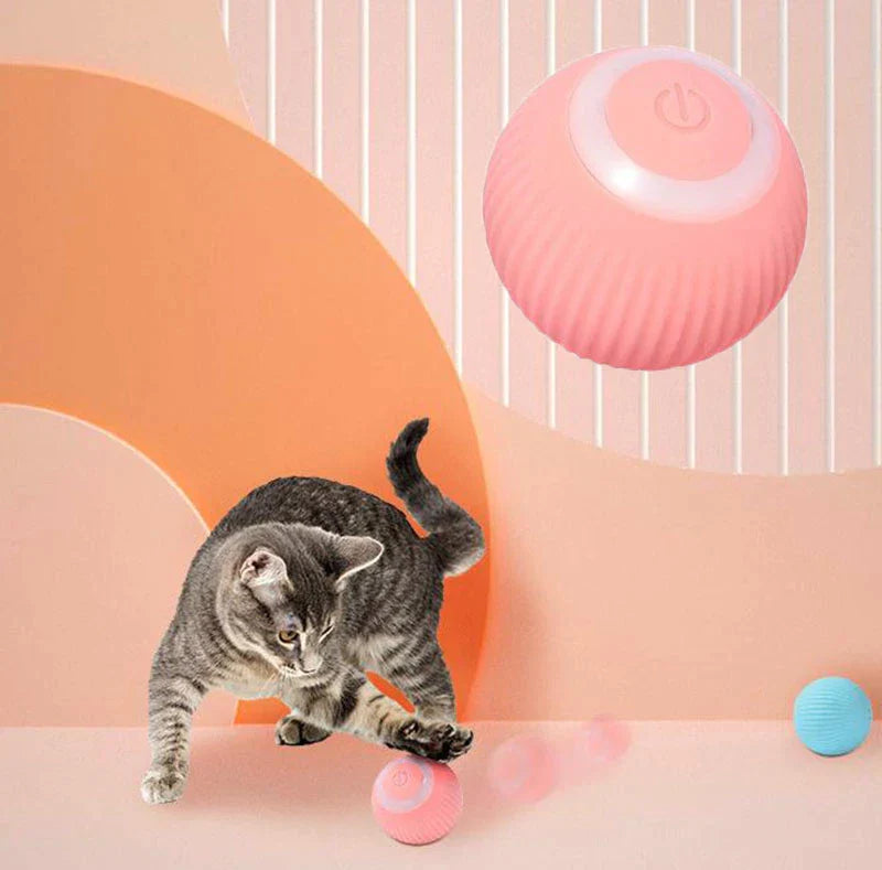 Interactive Ball Launcher for Cat and Dogs
