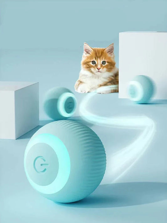 Interactive Ball Launcher for Cat and Dogs