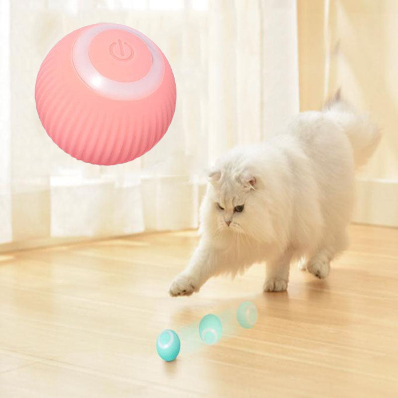 Interactive Ball Launcher for Cat and Dogs