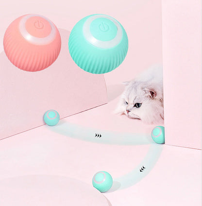 Interactive Ball Launcher for Cat and Dogs
